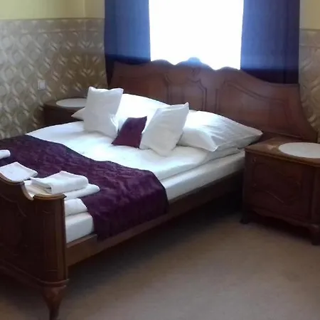 Hotel Villa Ustron